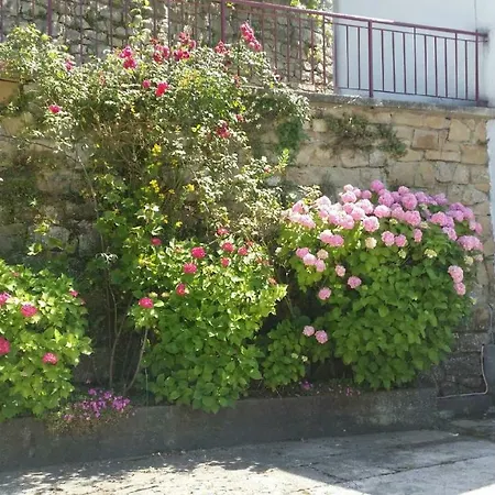 Apartment Kate Rab Supetarska Draga