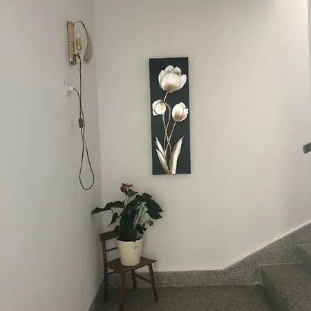 Kate Rab Apartment *